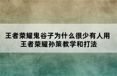 王者荣耀鬼谷子为什么很少有人用 王者荣耀孙策教学和打法